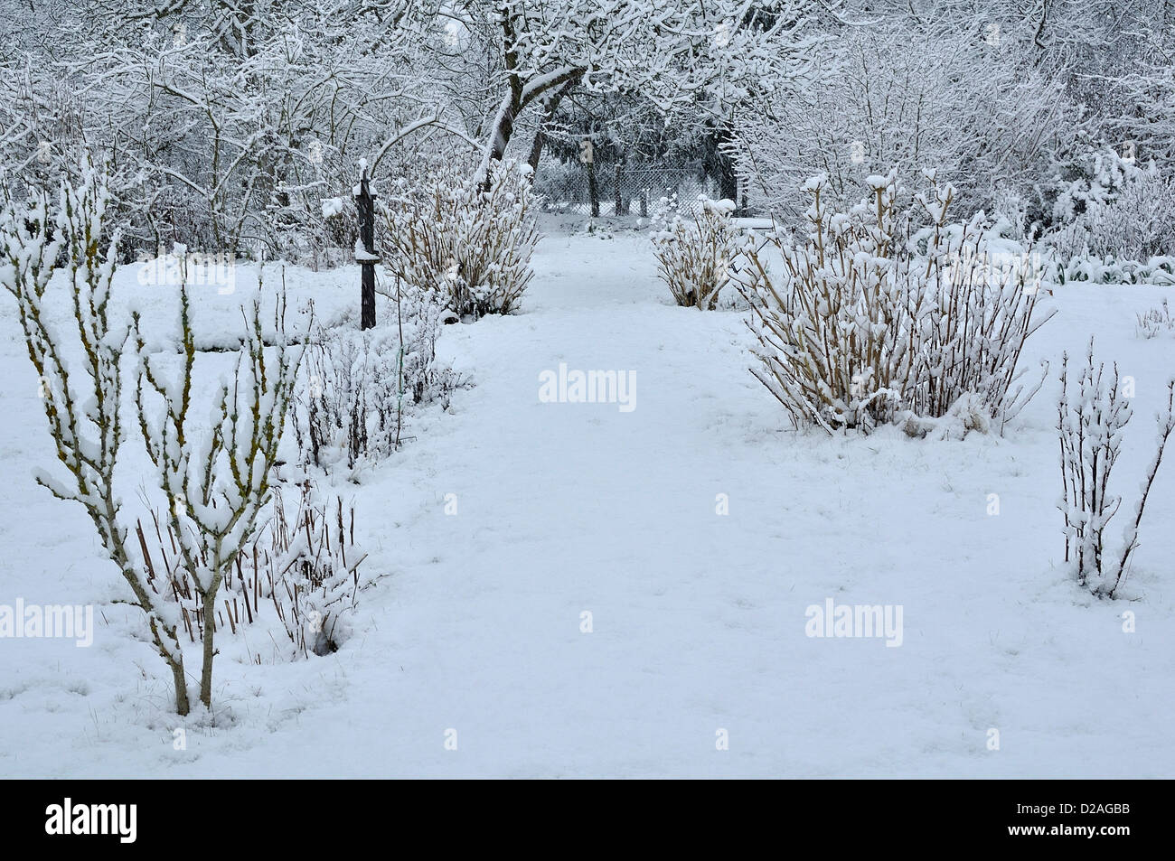 Vegetable garden and orchard under snow in January Stock Photo Alamy