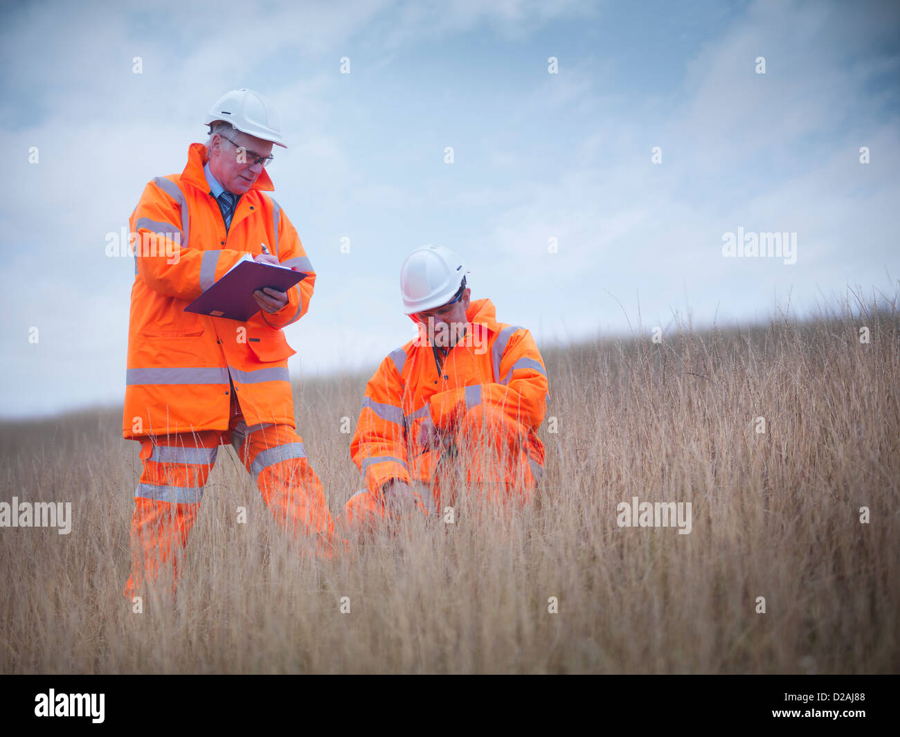 Colleague plant ecologist hires stock photography and images Alamy