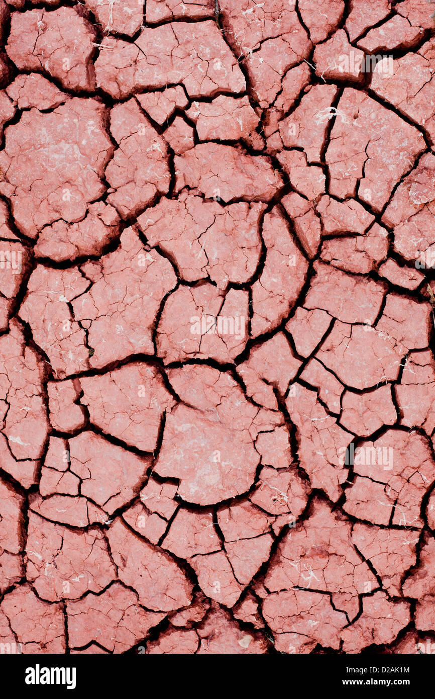 Close up of cracked dry earth Stock Photo