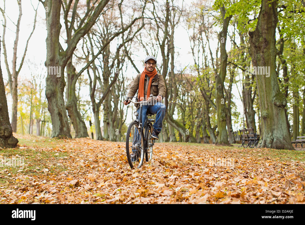 Man riding bicycle in park Stock Photo