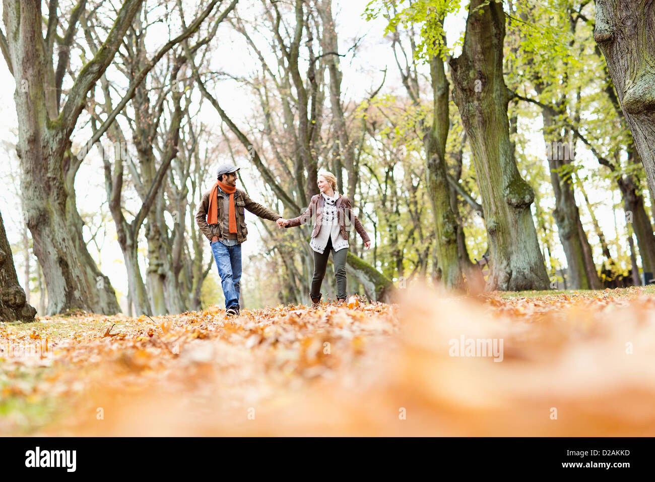 Couple holding hands in forest Stock Photo - Alamy