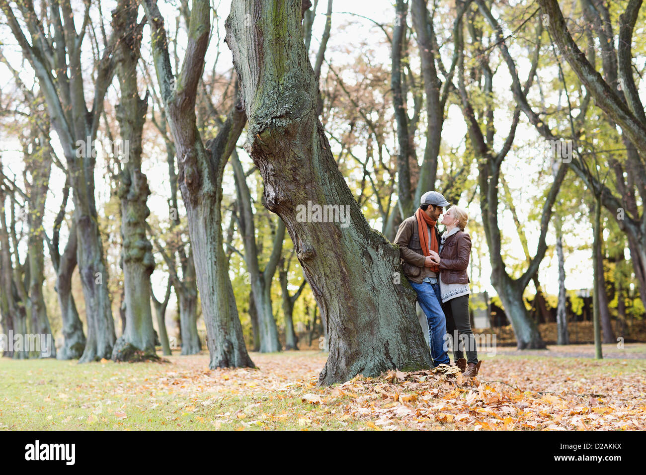 Lay Against Tree Couple leaning against tree in forest Stock Photo - Alamy
