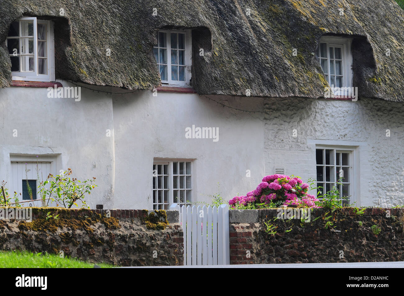 Thatched cottages at East Lulworth Dorset UK Stock Photo