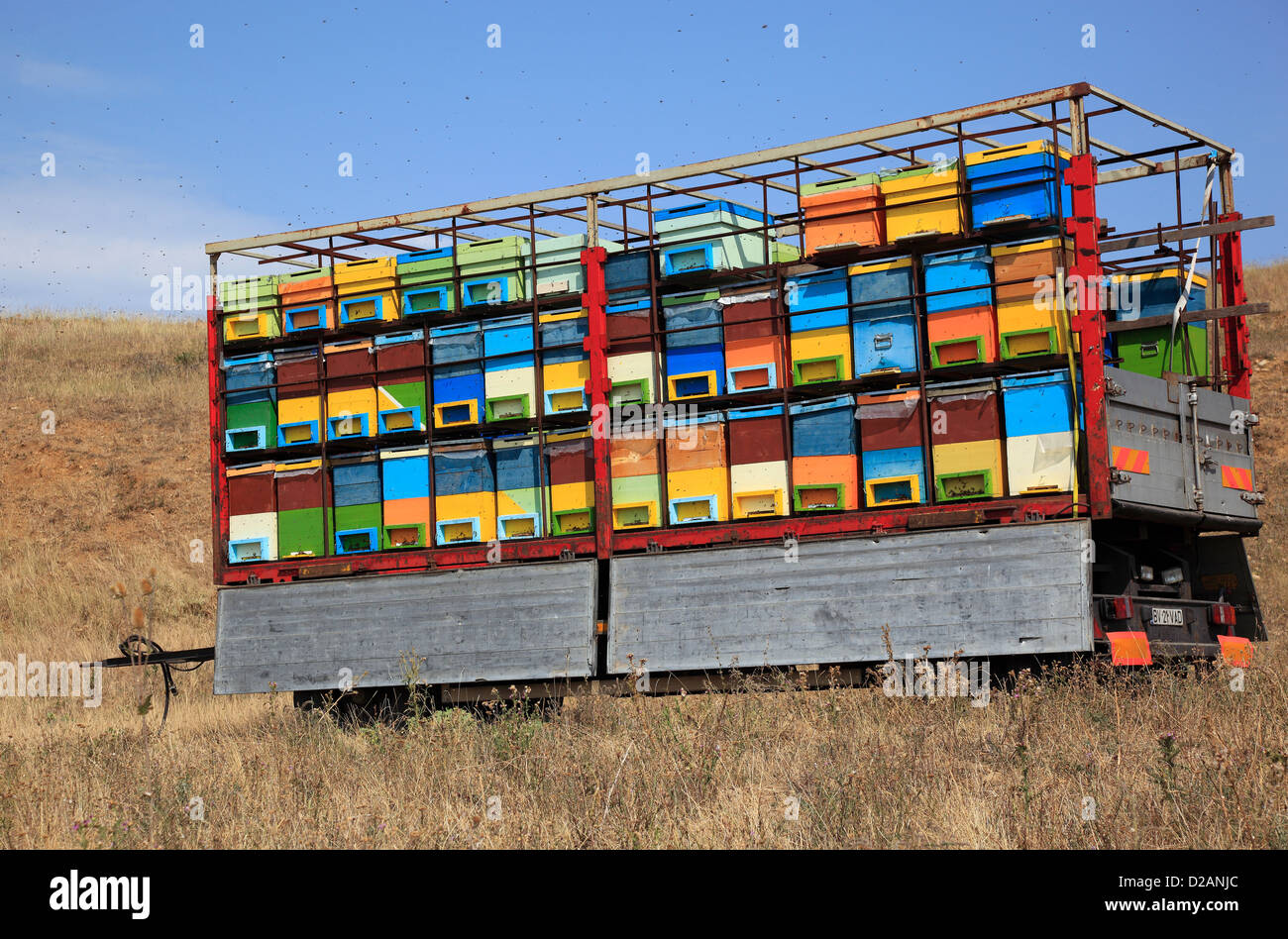 Beehives in a cart, seen near Dacia, county of Brasov, Romania Stock Photo