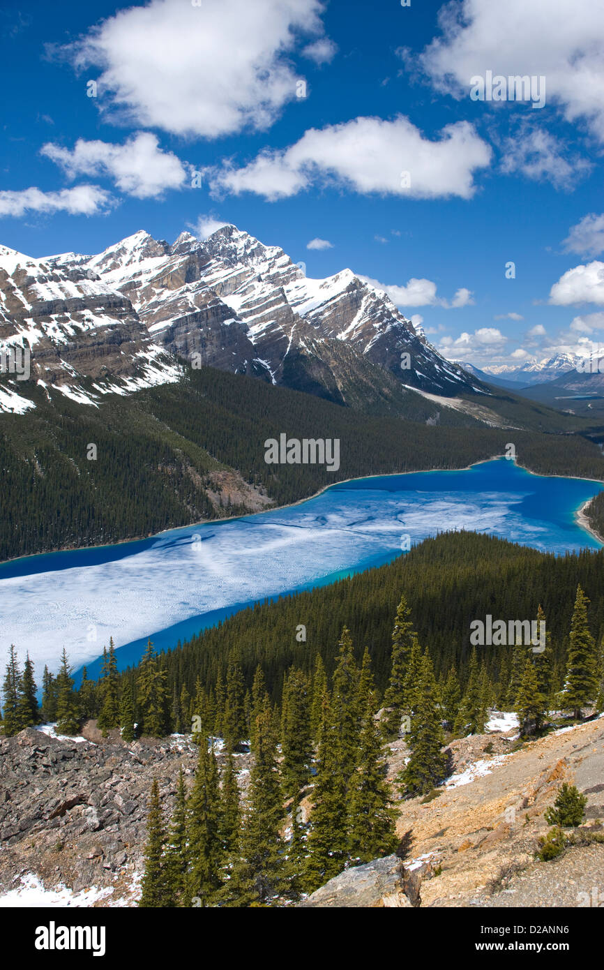 PART FROZEN PEYTO LAKE BANFF NATIONAL PARK ALBERTA CANADA Stock Photo ...