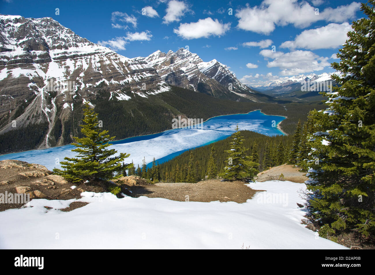 PART FROZEN PEYTO LAKE BANFF NATIONAL PARK ALBERTA CANADA Stock Photo ...