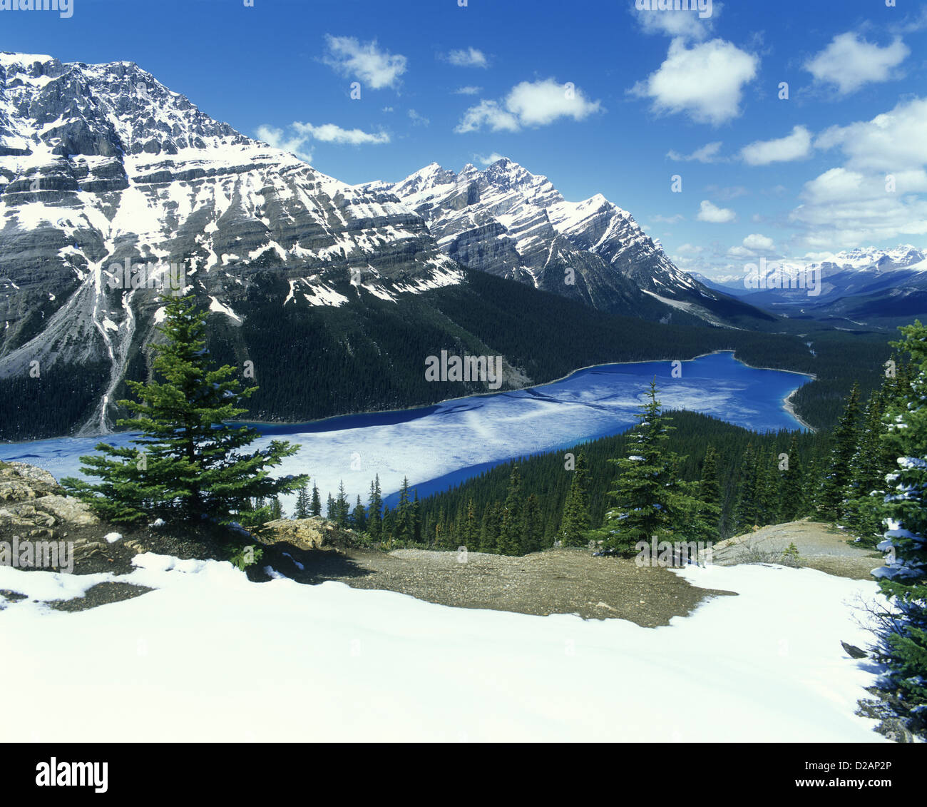 PART FROZEN PEYTO LAKE BANFF NATIONAL PARK ALBERTA CANADA Stock Photo ...