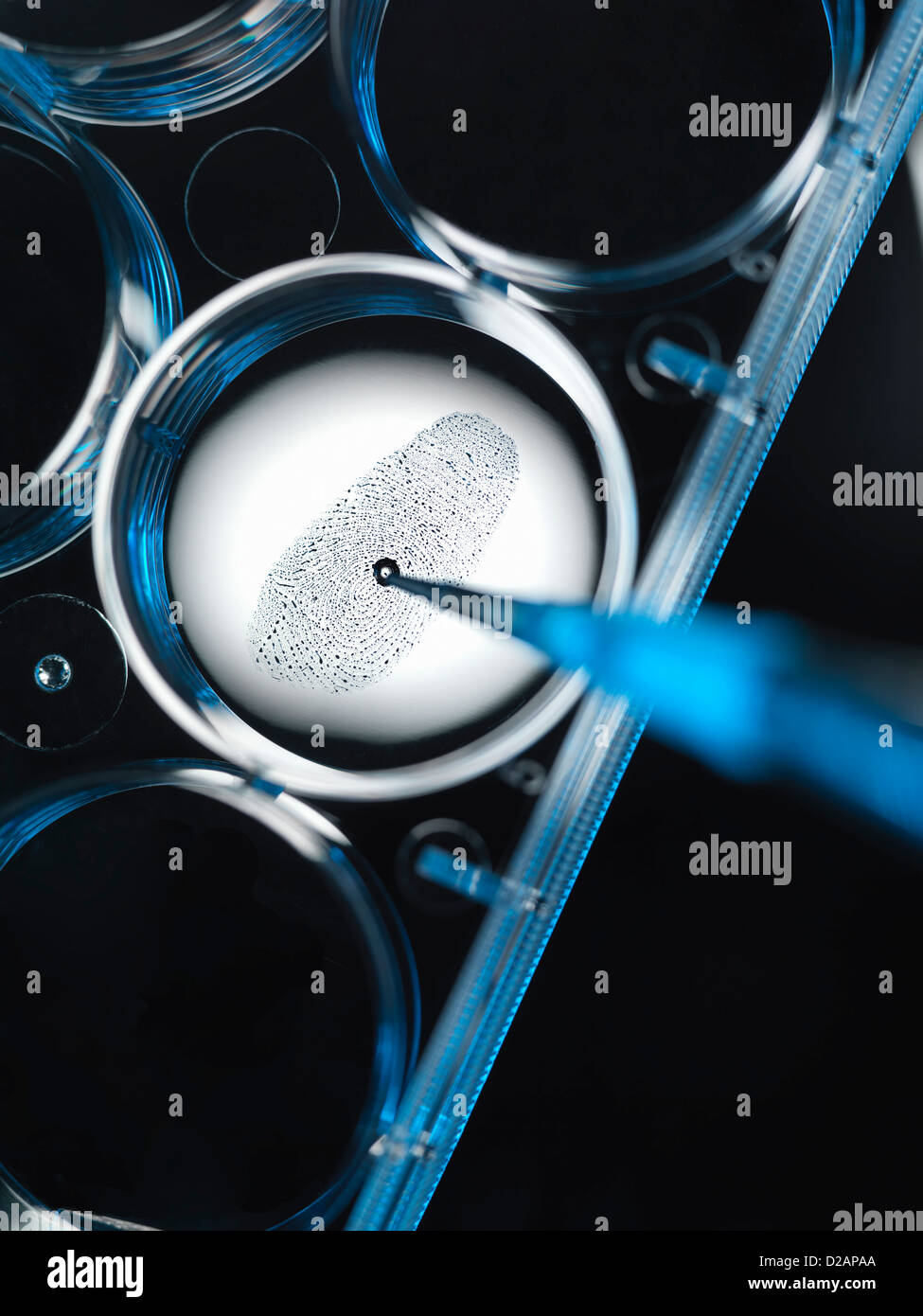 Finget Lab Print lab hi-res stock photography and images - Alamy