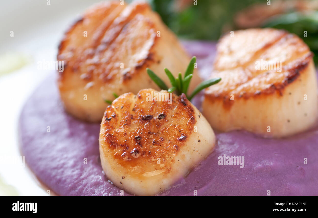 Scallop appetizer hi-res stock photography and images - Alamy