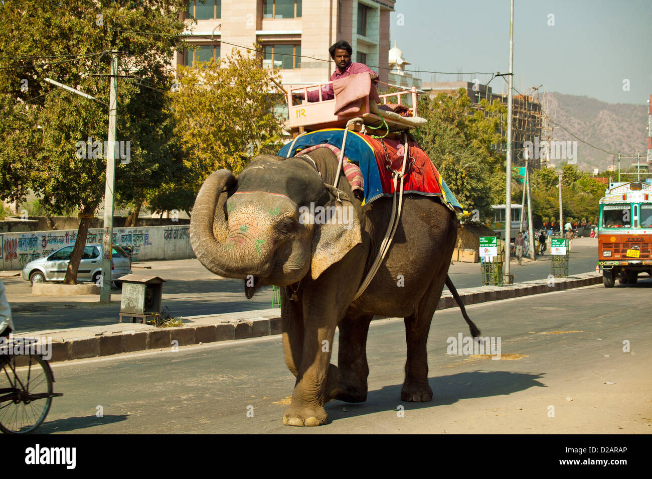 AN ELEPHANT MAKES ITS WAY ALONG A BUSY MAIN ROAD IN JAIPUR INDIA Stock Photo