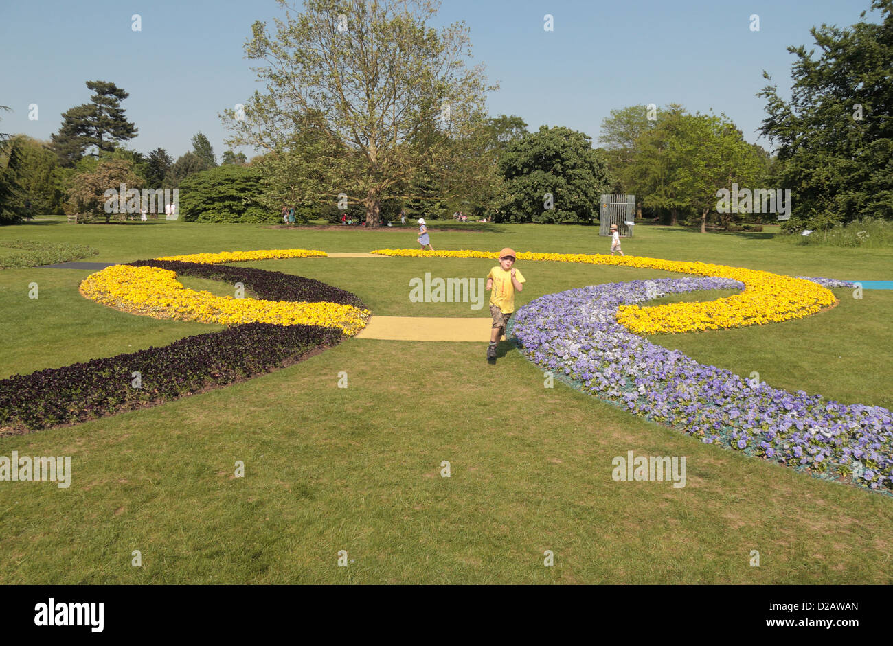 Flowers arranged in the shape of the Olympic Rings outside the Orangery Restaurant, The Royal Botanic Gardens, Kew, Surrey, UK. Stock Photo