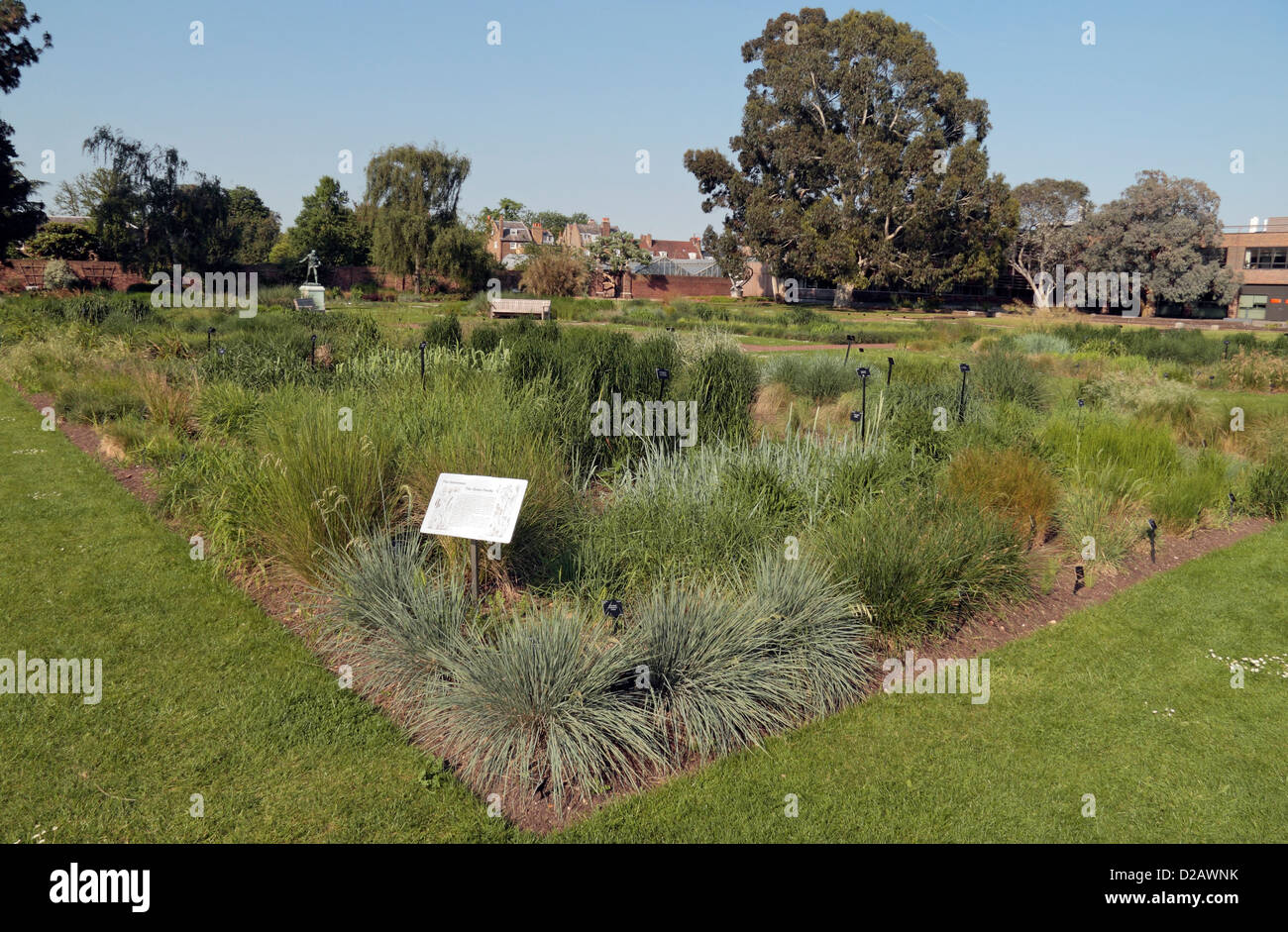 The Gramineae (The Grass Family) in the Order Beds in the Royal Botanic Gardens, Kew, London, UK. Stock Photo