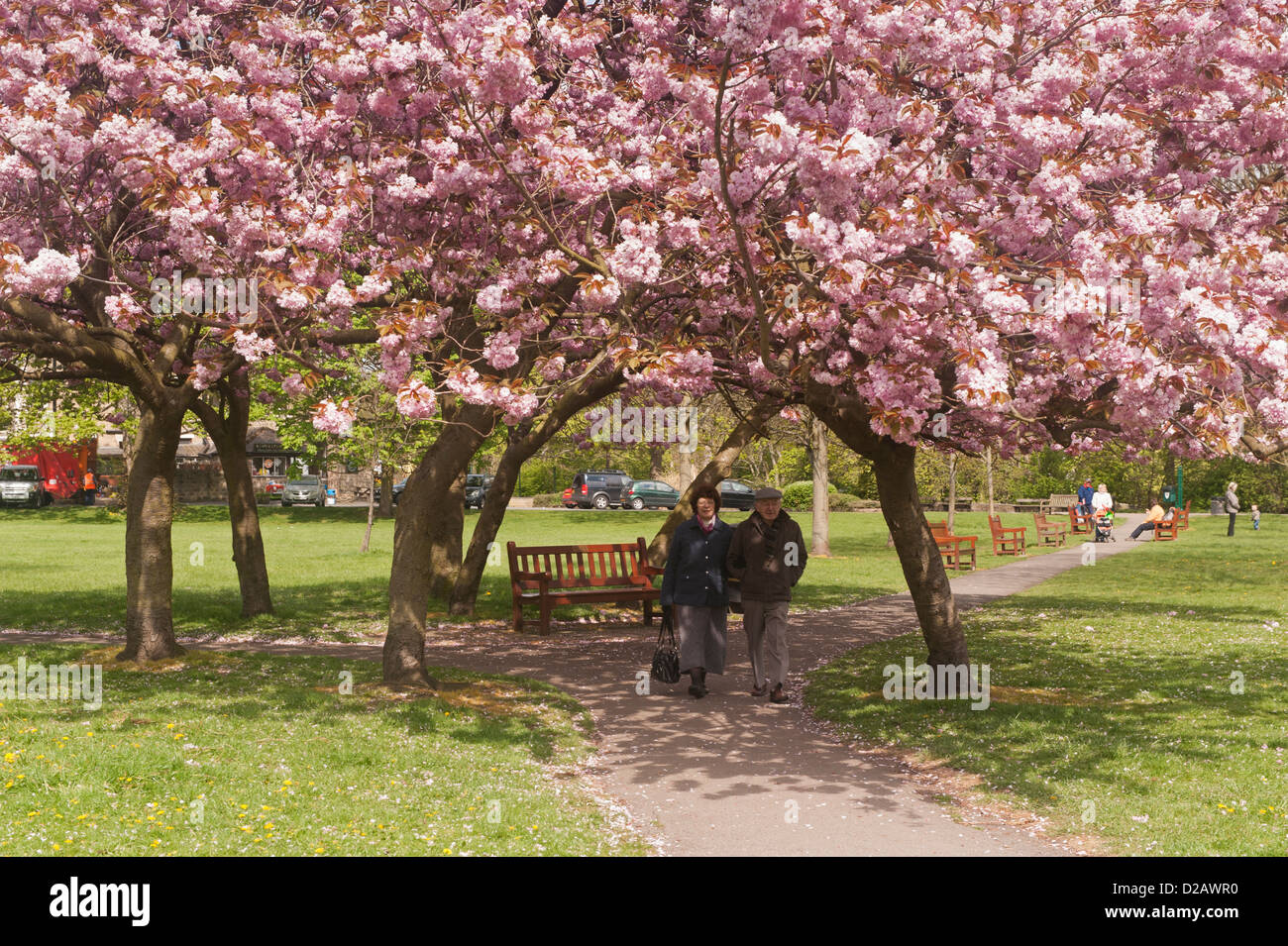 People Walk On Sunlit Park Path Under Canopy Of Trees Beautiful Stock Photo Alamy People Walk On Sunlit Park Path Under Canopy Of Trees Beautiful Stock Photo Alamy
