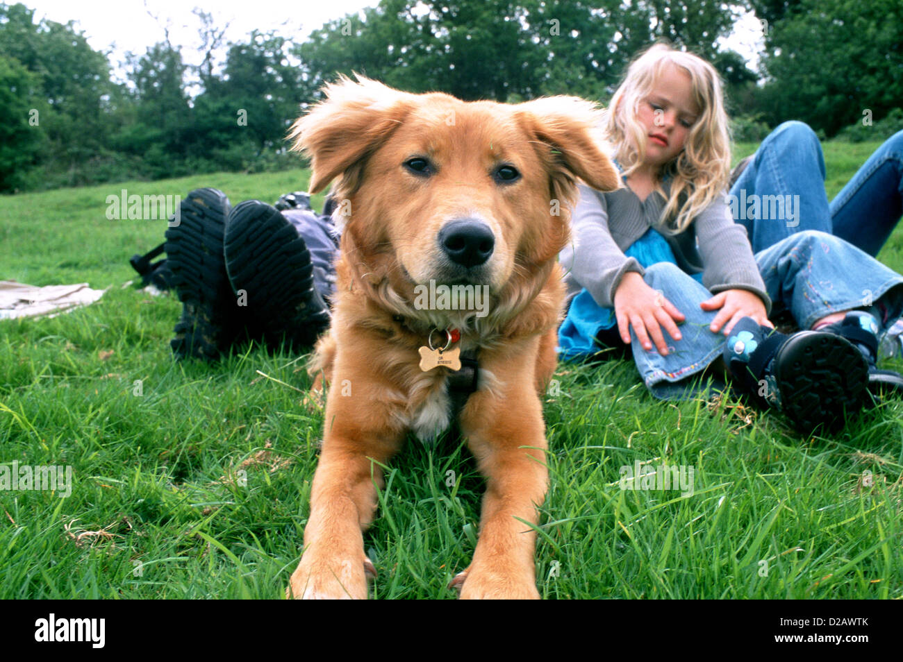 Nova Scotia Duck Tolling Retriever and Girl Stock Photo