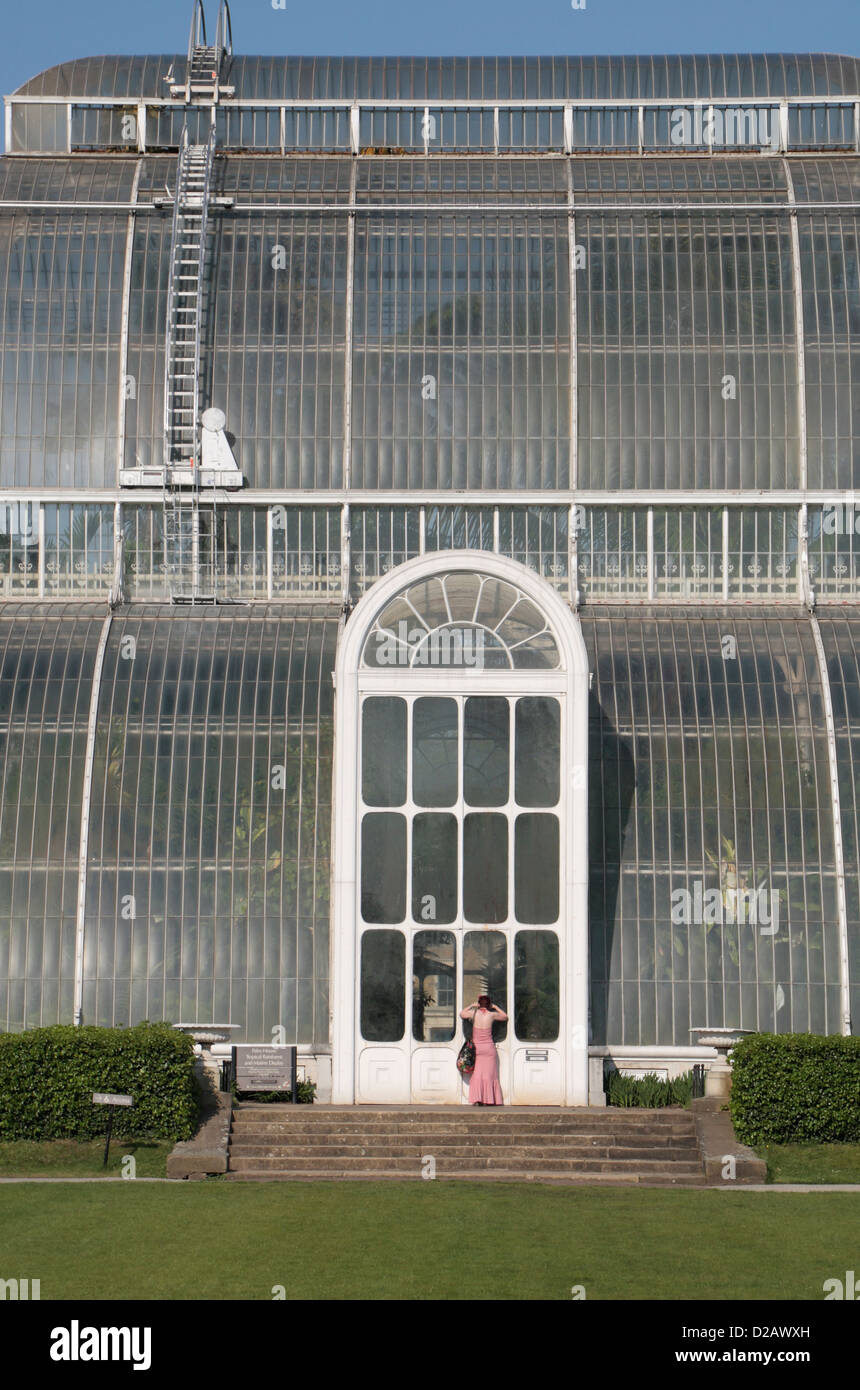 A woman looks into the Palm House, The Royal Botanic Gardens, Kew, Surrey, England. (west facing elevation) Stock Photo