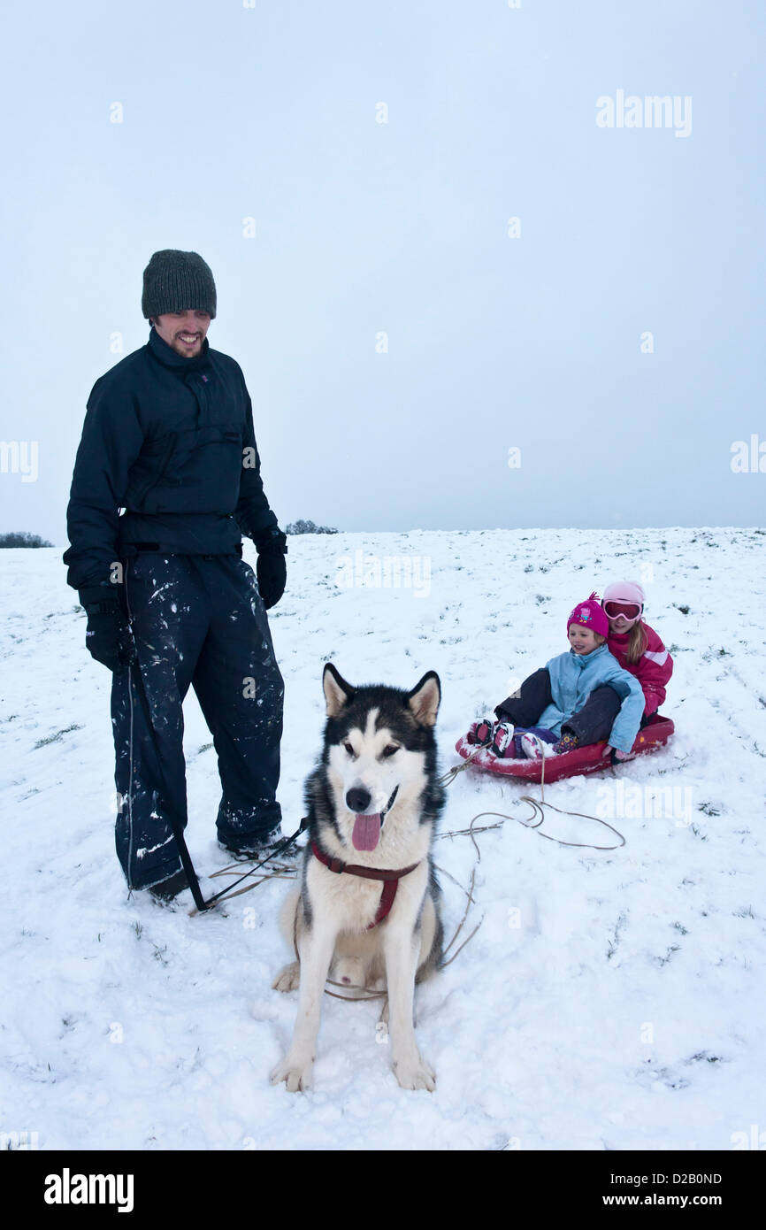 Girl celebrates her birthday with dad and sister sledging on a hill in Reading suburb, Woodley, Berkshire.  Her dog, an Alaskan Malamute, waits to pull her along. Stock Photo