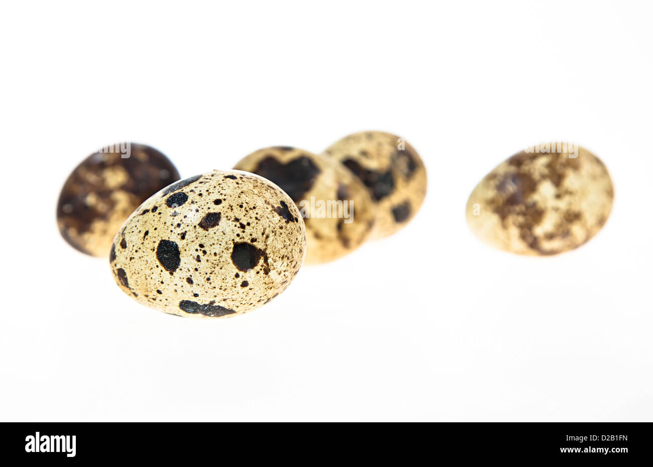 Quail eggs Stock Photo