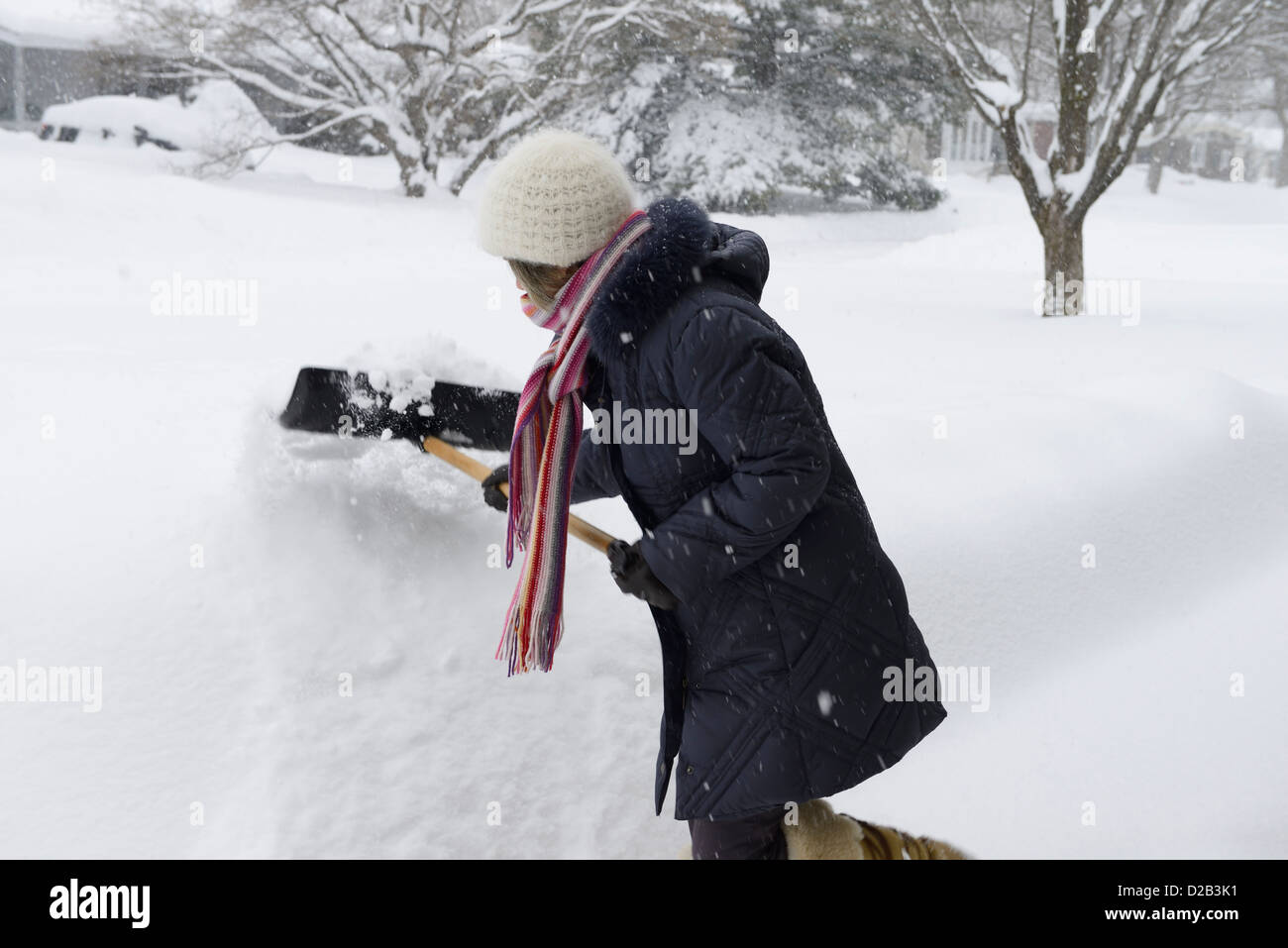 Woman in a snowstorm shoveling snow in Ottawa Canada Stock Photo Alamy