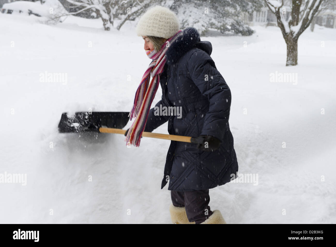 Woman shoveling deep snow after a winter storm in Ottawa Canada Stock