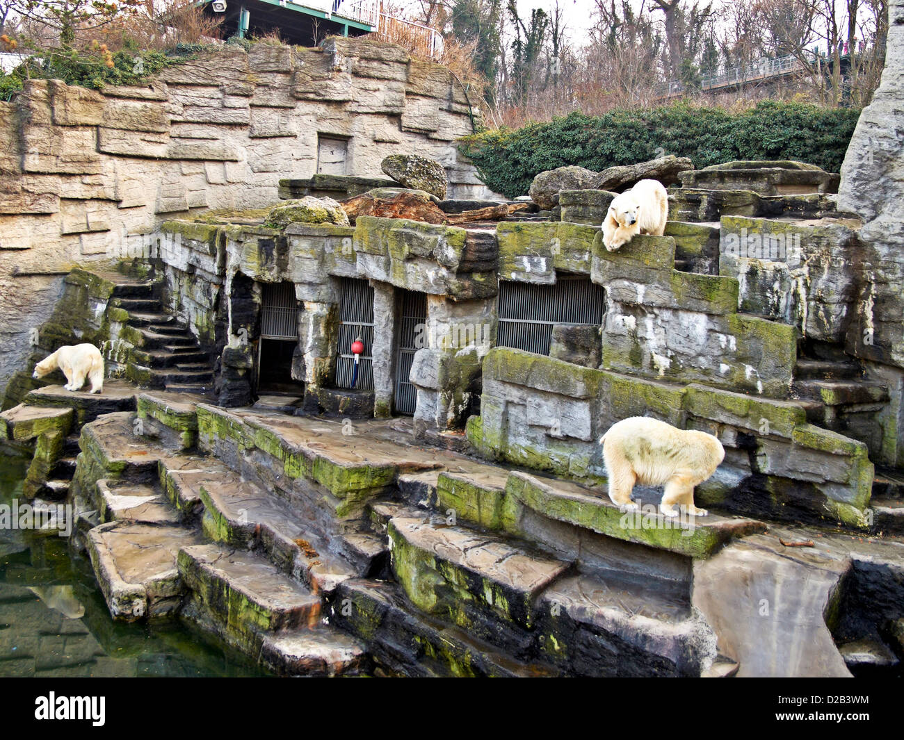 schönbrunn zoo maxingstraße vienna austria
