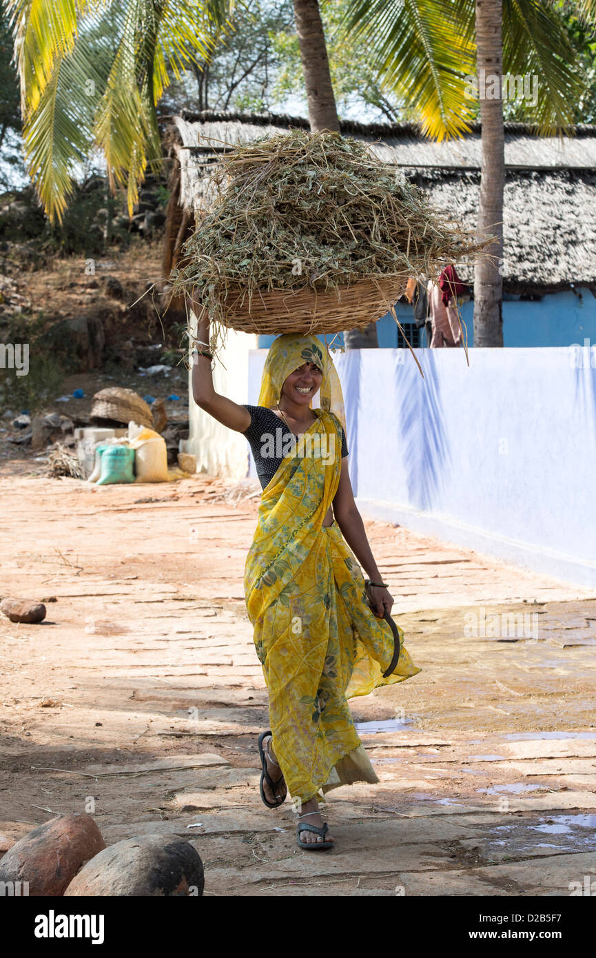 Rural indian village woman carrying cut vegetation for cattle fodder in a basket on her head. Andhra Pradesh, India Stock Photo