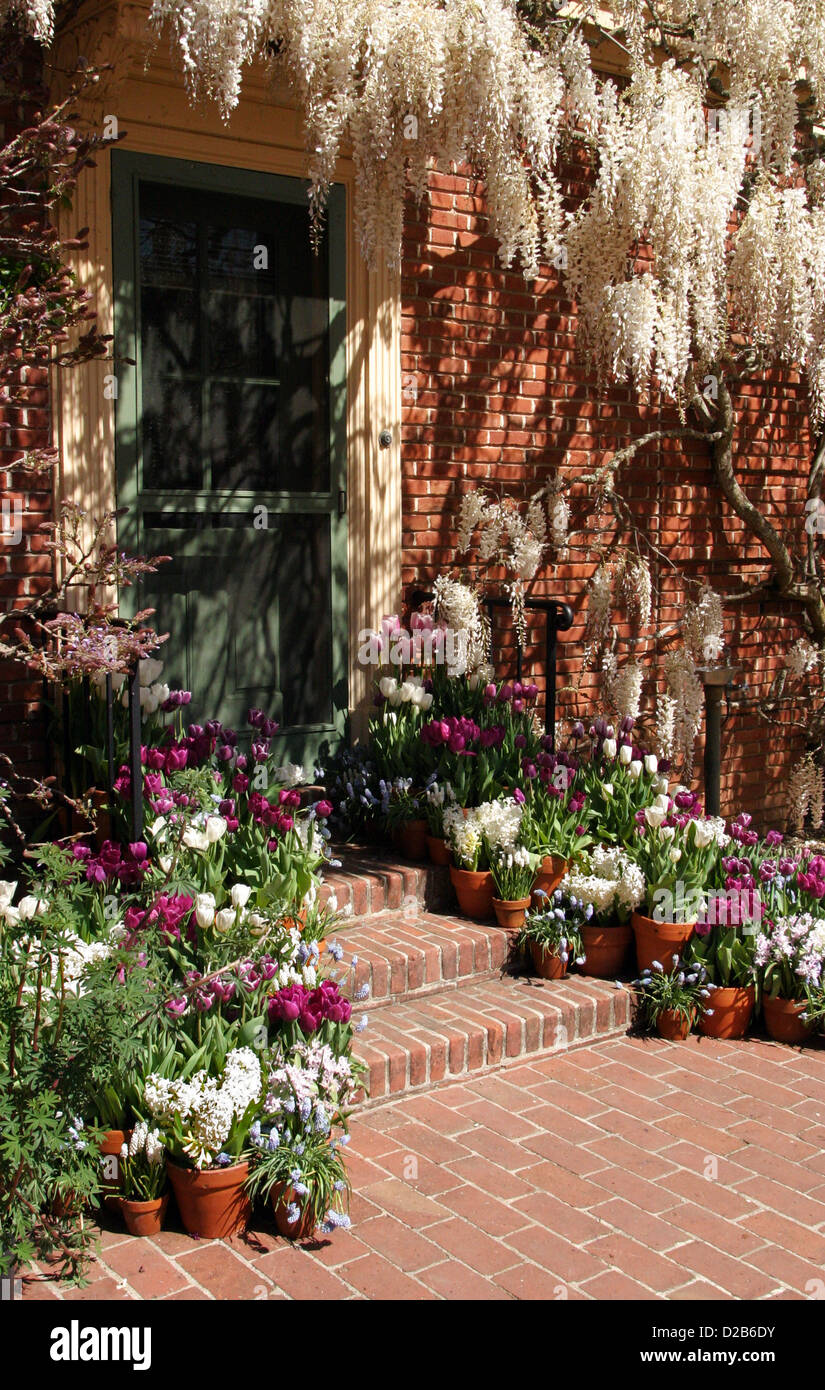 A garden doorway with potted flowers Stock Photo Alamy