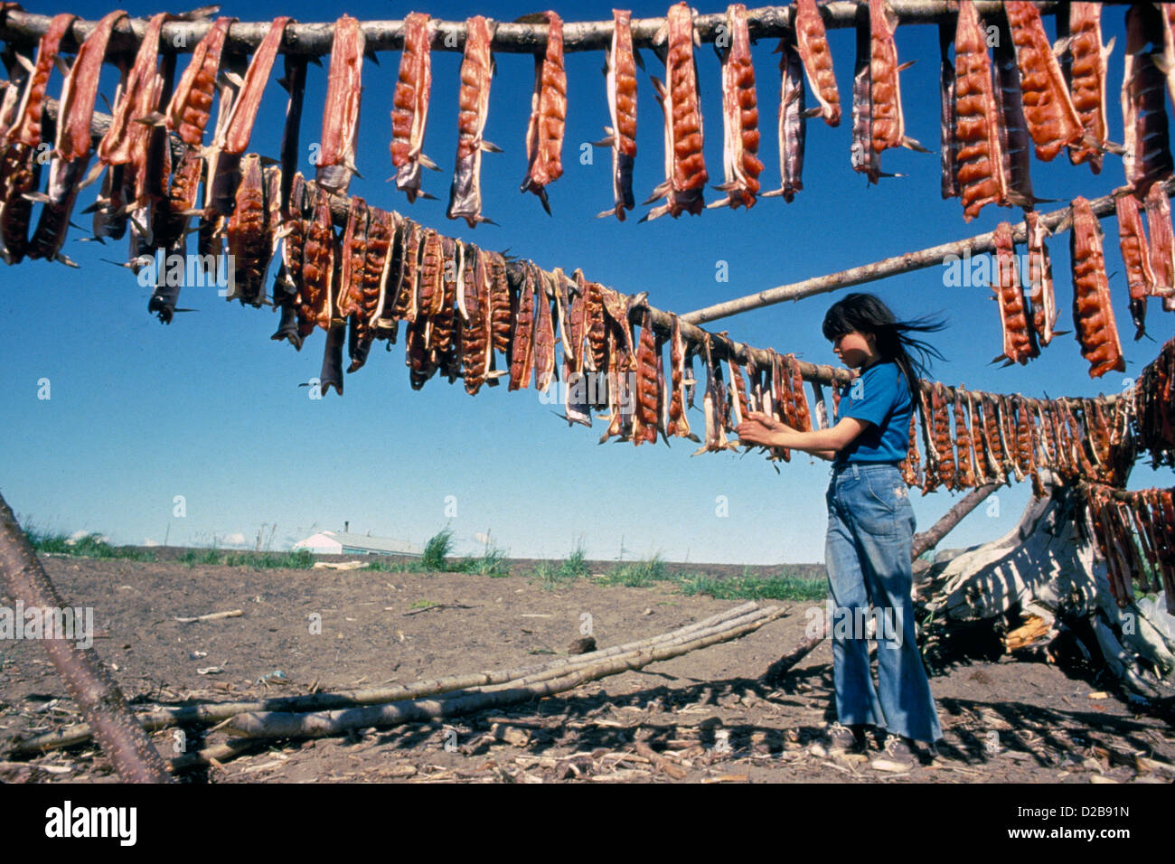 Alaska, Unalakleet. Native American Drying Salmon. Stock Photo