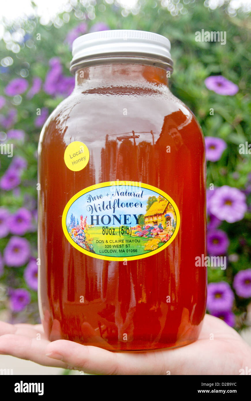 Massachusetts local wild flower honey hires stock photography and