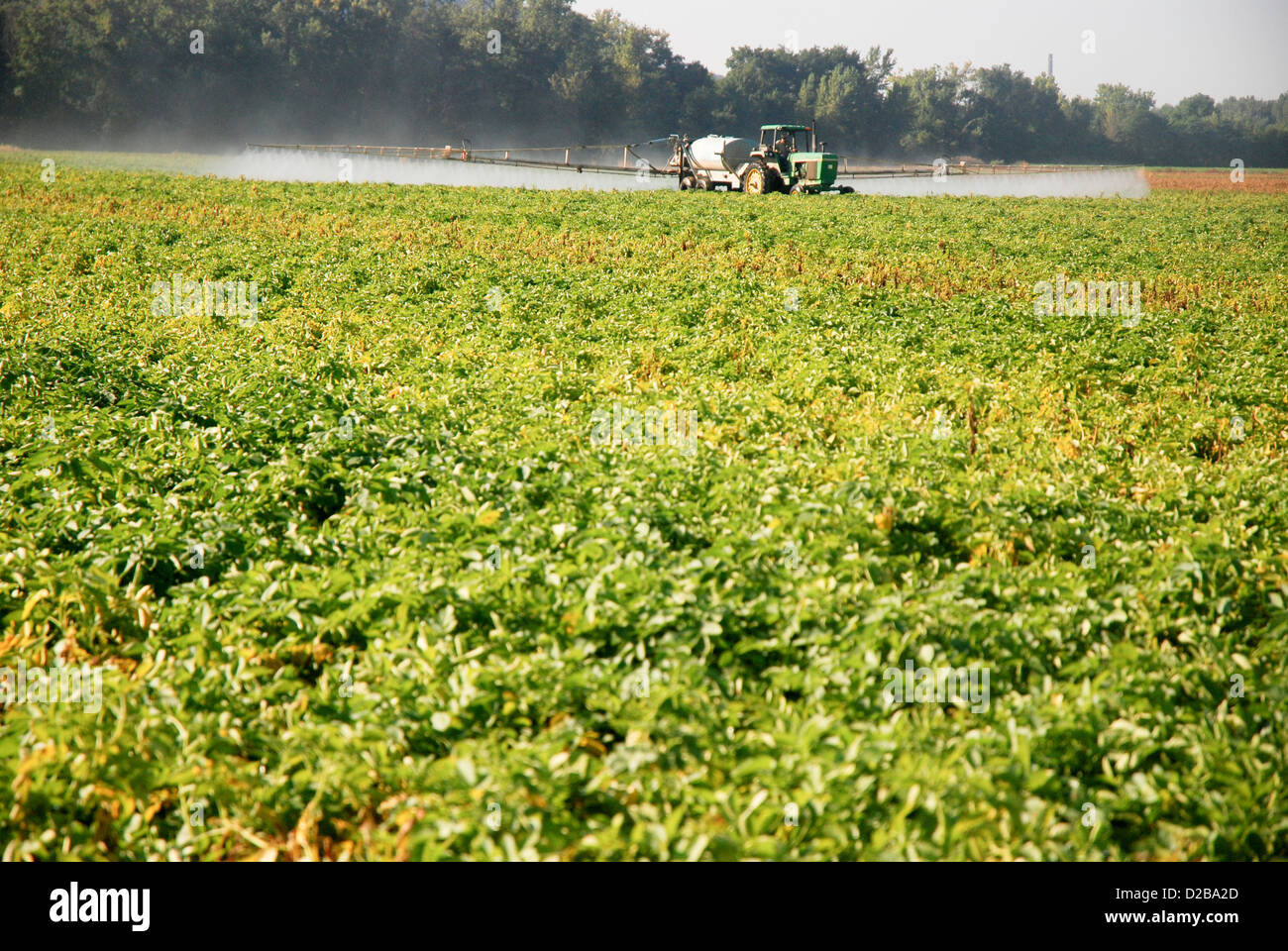 Chemical Spray On Crops Stock Photo