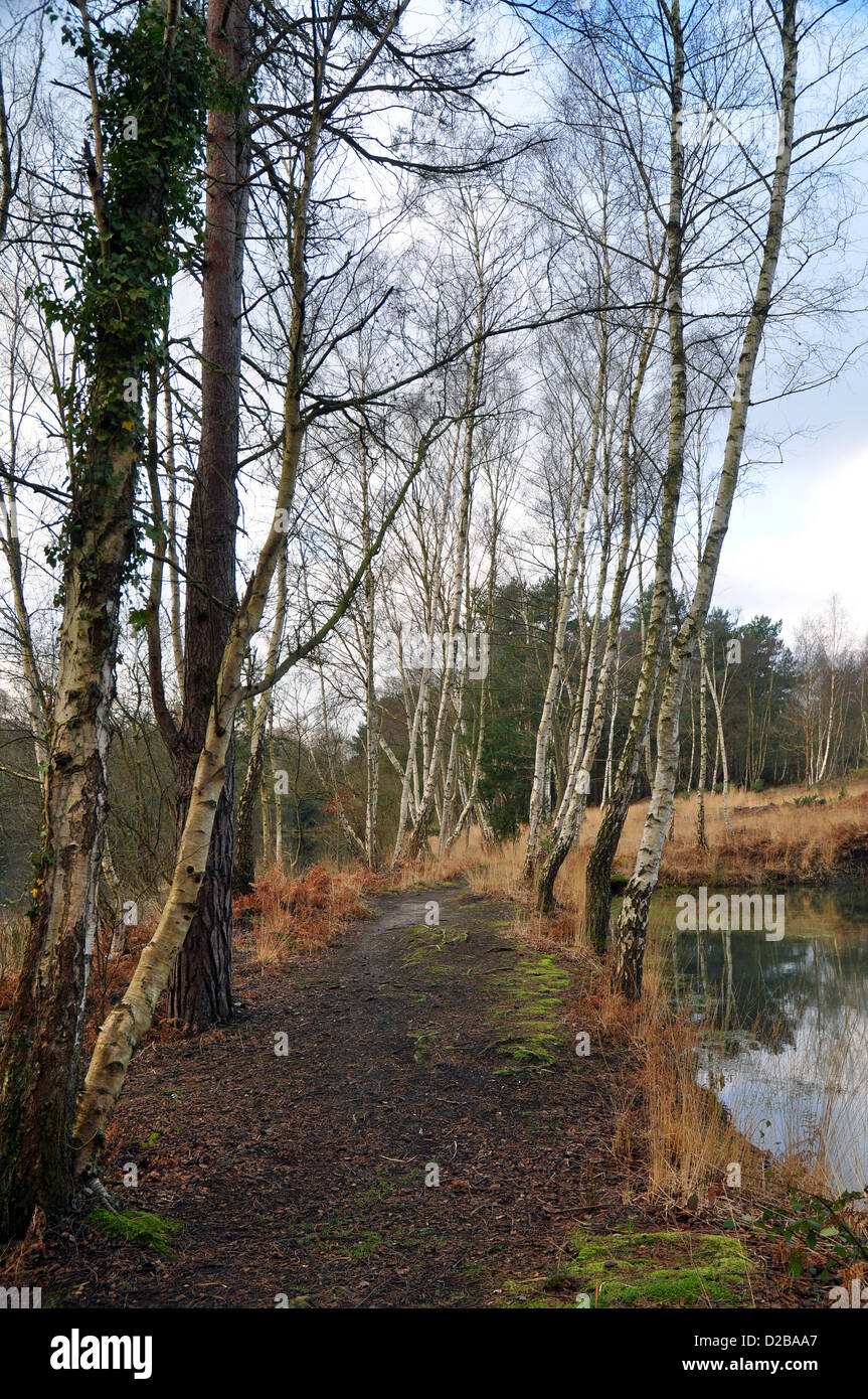 Pathway near pond hires stock photography and images Alamy