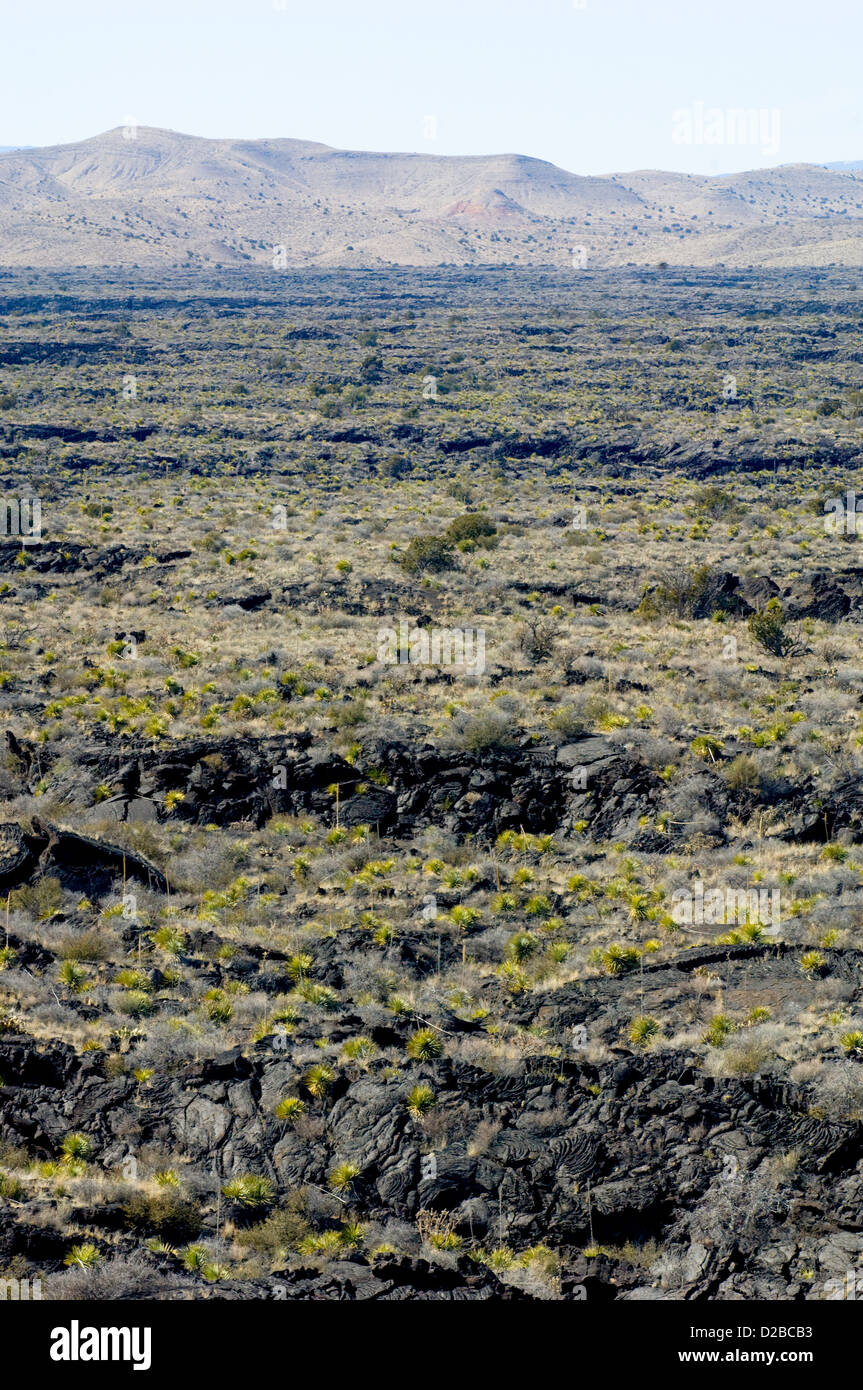 Valley Of Fires Nature Trail Carrizozo, New Mexico Stock Photo