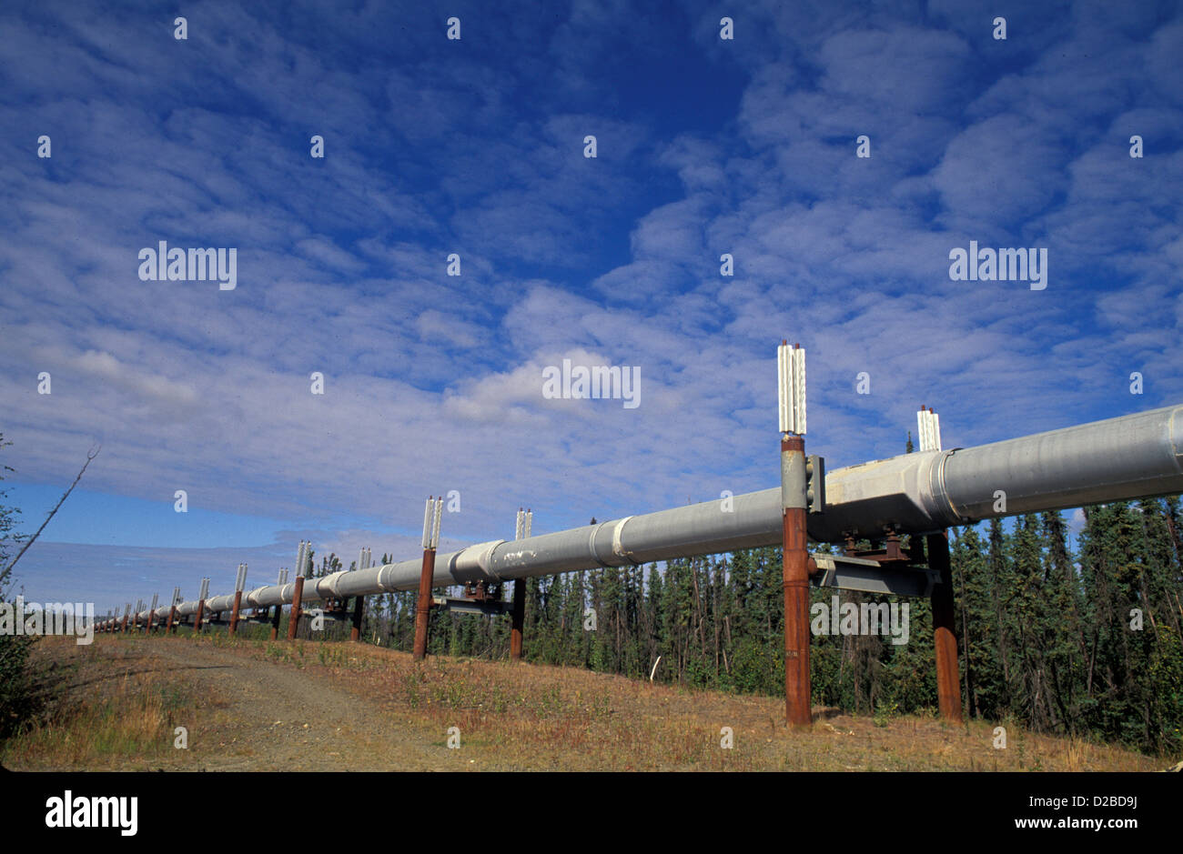 Alaska. Trans Alaska Pipeline Stock Photo