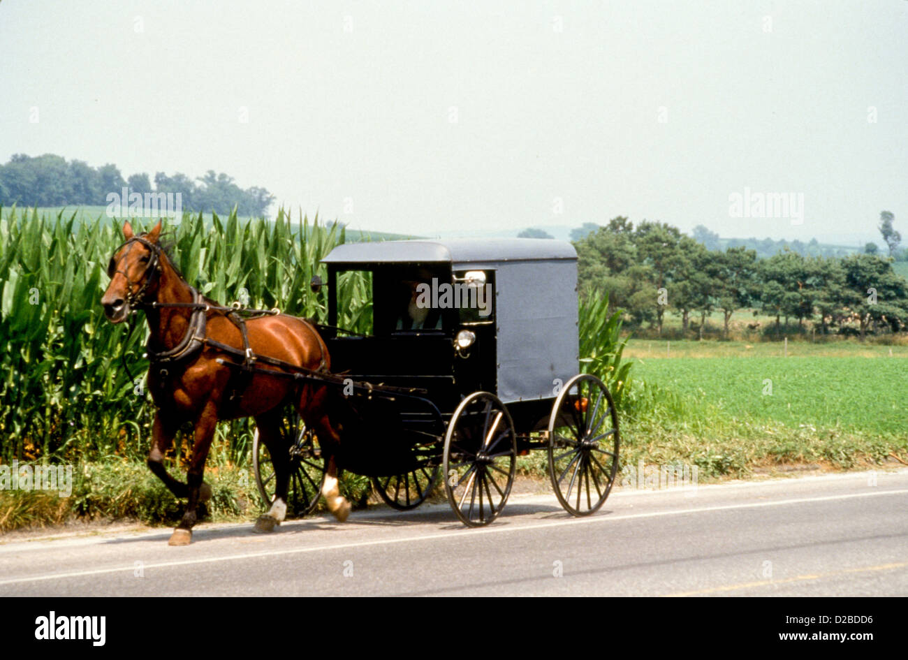 Pennsylvania, Lancaster County, Amish Horse And Buggy Stock Photo Alamy