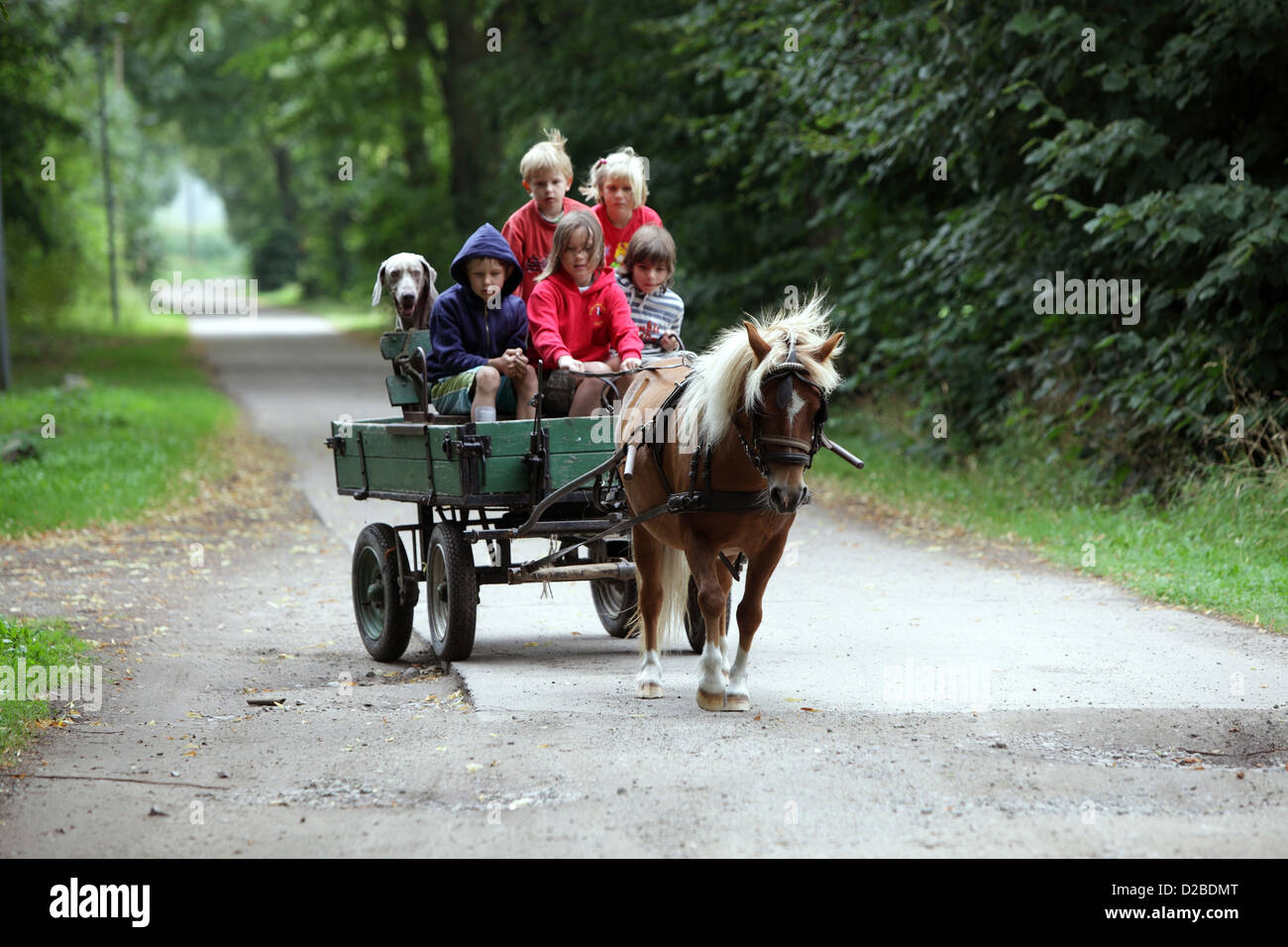 Pomerania, Germany, children get a carriage ride Stock Photo
