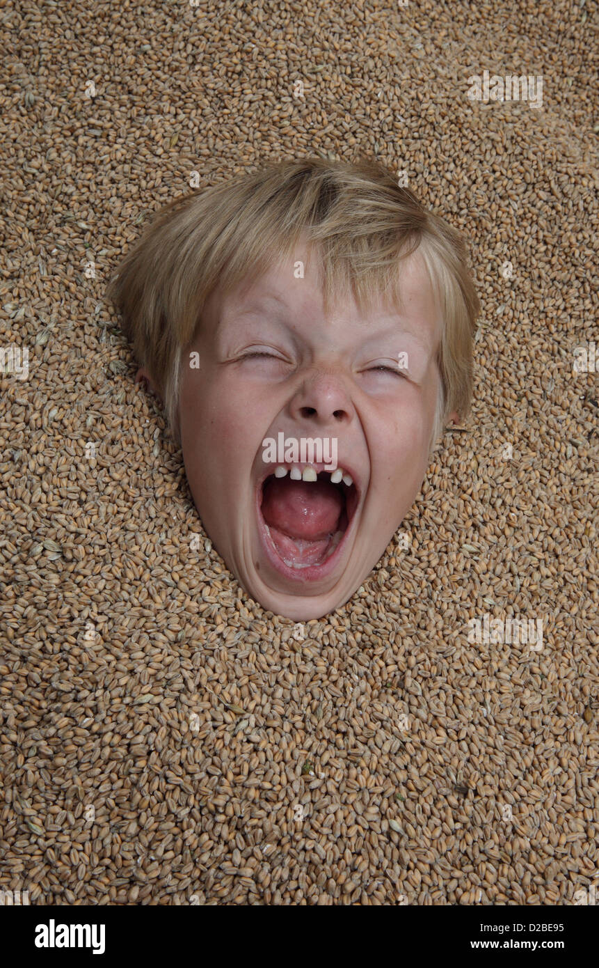 Resplendent village, Germany, Young is covered up to the head and screams with Weizenkoernern Stock Photo