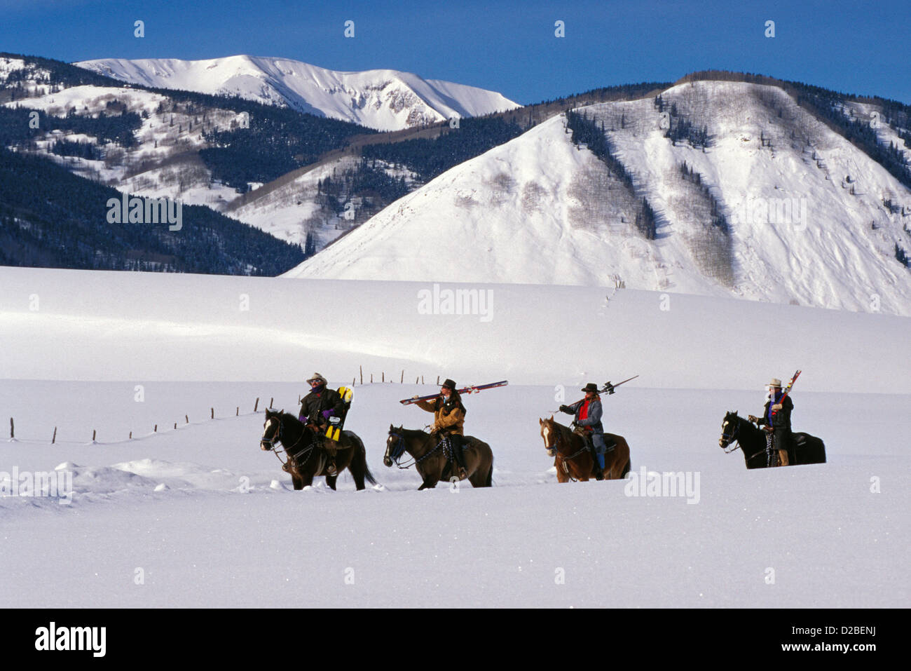 Colorado, Fantasy Ranch. Two Couples On Horseback Carrying Skis Stock
