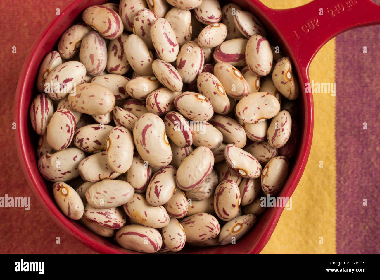 Cranberry Beans also called Roman Beans Stock Photo