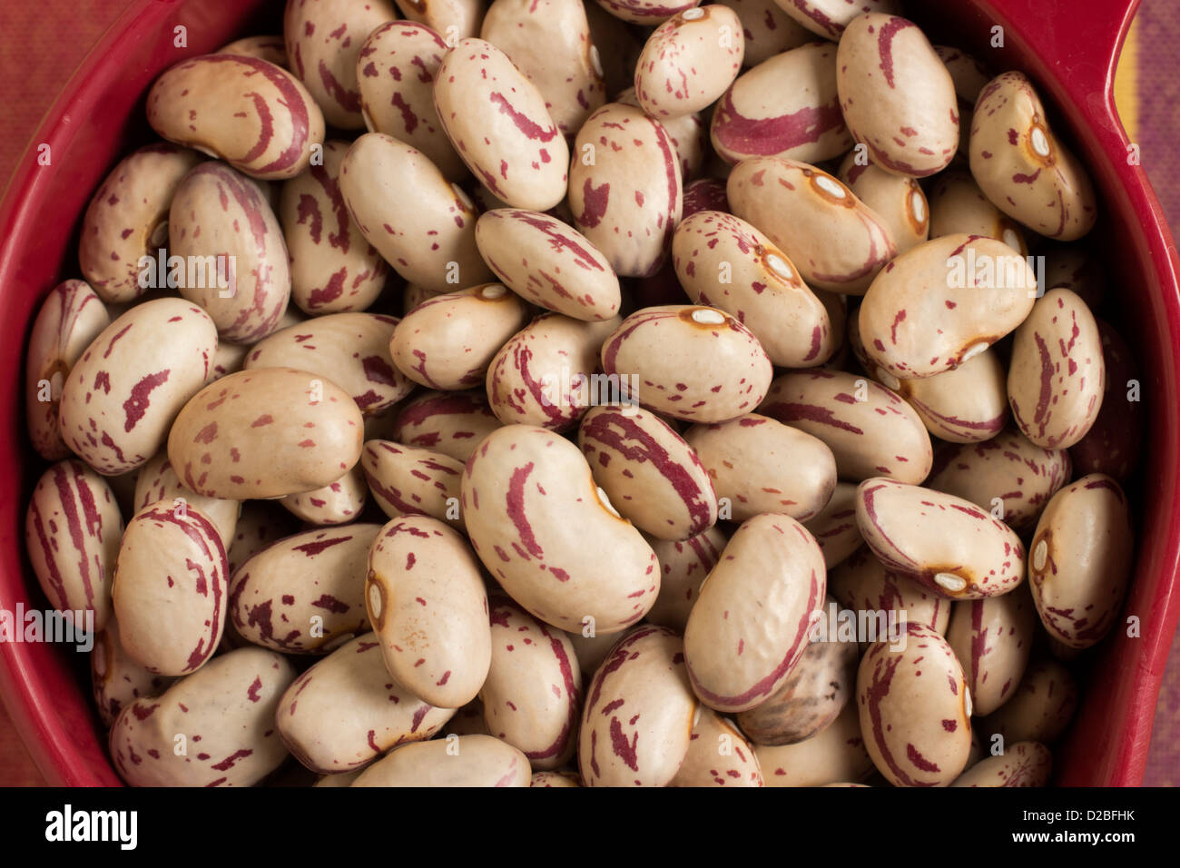 Cranberry beans also known as Roman Beans Stock Photo Alamy