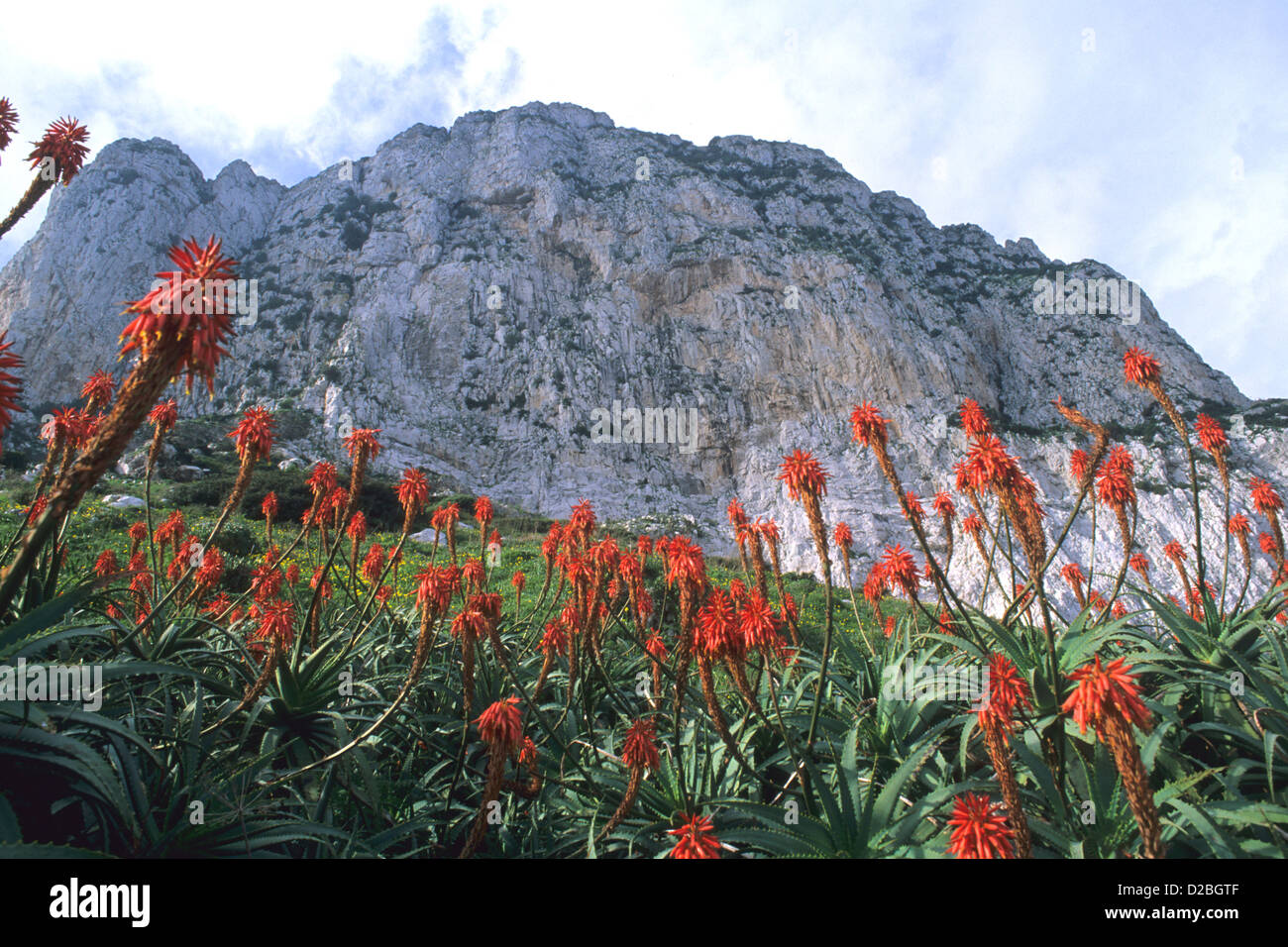 United Kingdom, Rock Of Gibraltar Stock Photo