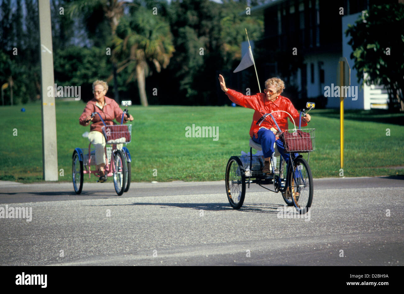 ladies tricycles