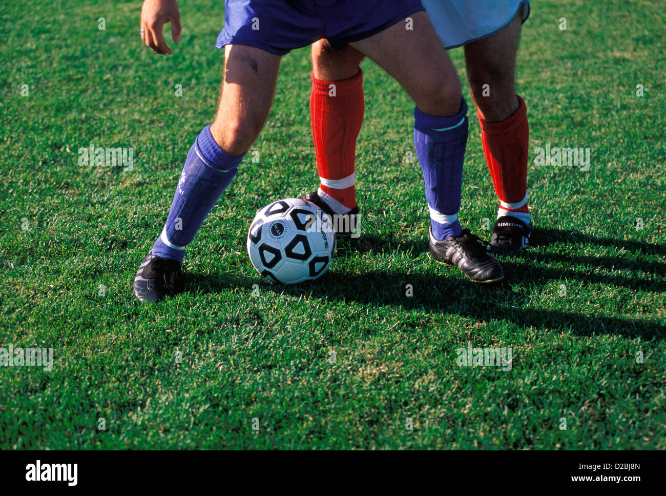 Soccer Ball And Legs Of Two Opposing Players Stock Photo