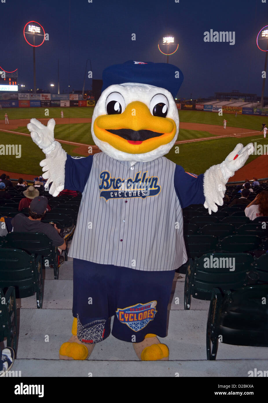 Sandy the seagull, the Brooklyn Cyclones mascot named for Sandy