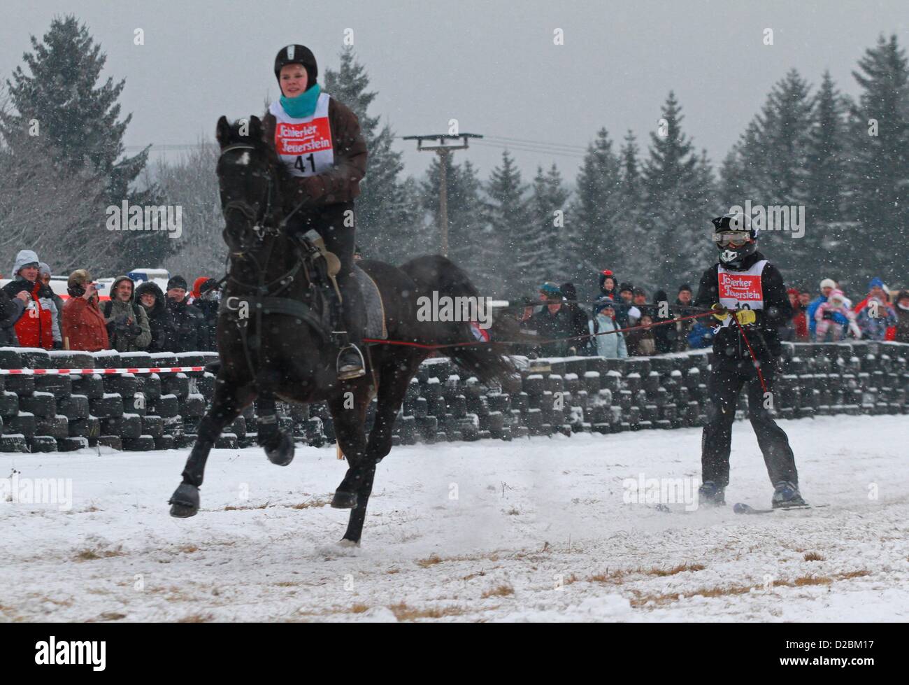 Equestrian Rosemarie Wesarg rides on her horse as she pulls her teammate Mario Suppe (R) across an obstacle course in Elend, Germany, 19 January 2013. More than 100 contestants particiapate in this curious race which is based on a Scandinavian winter sports concept. Skiers are being pulled across an obstacle course either with animals or motorised vehicles. Photo: Matthias Bein Stock Photo