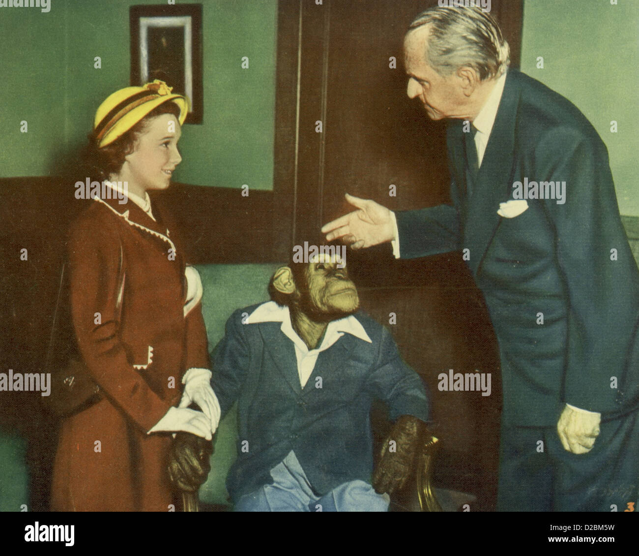 Bonzo hi-res stock photography and images - Alamy