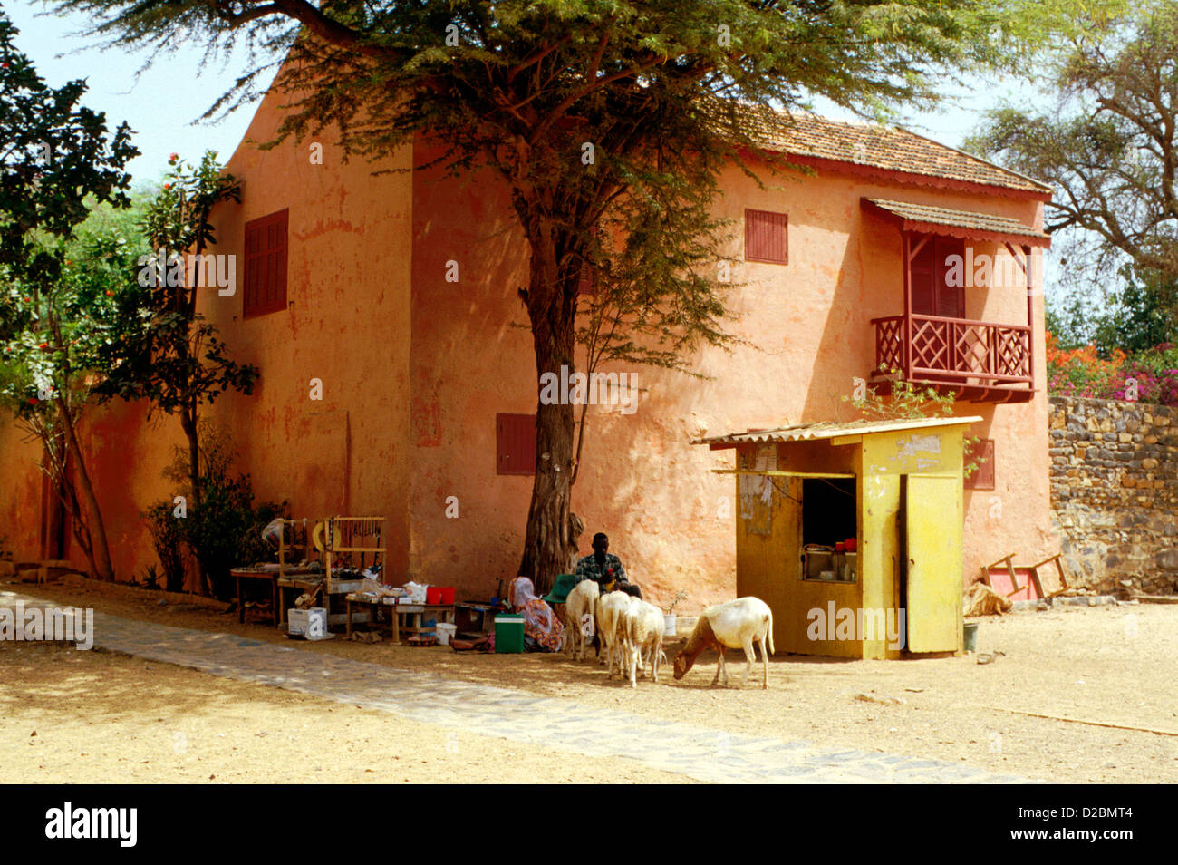 Senegal, Dakar, Goree Island. Anne Pepin’S House (Infamous Mistress), Male Vendor Sitting Outside With Baby Goats Stock Photo