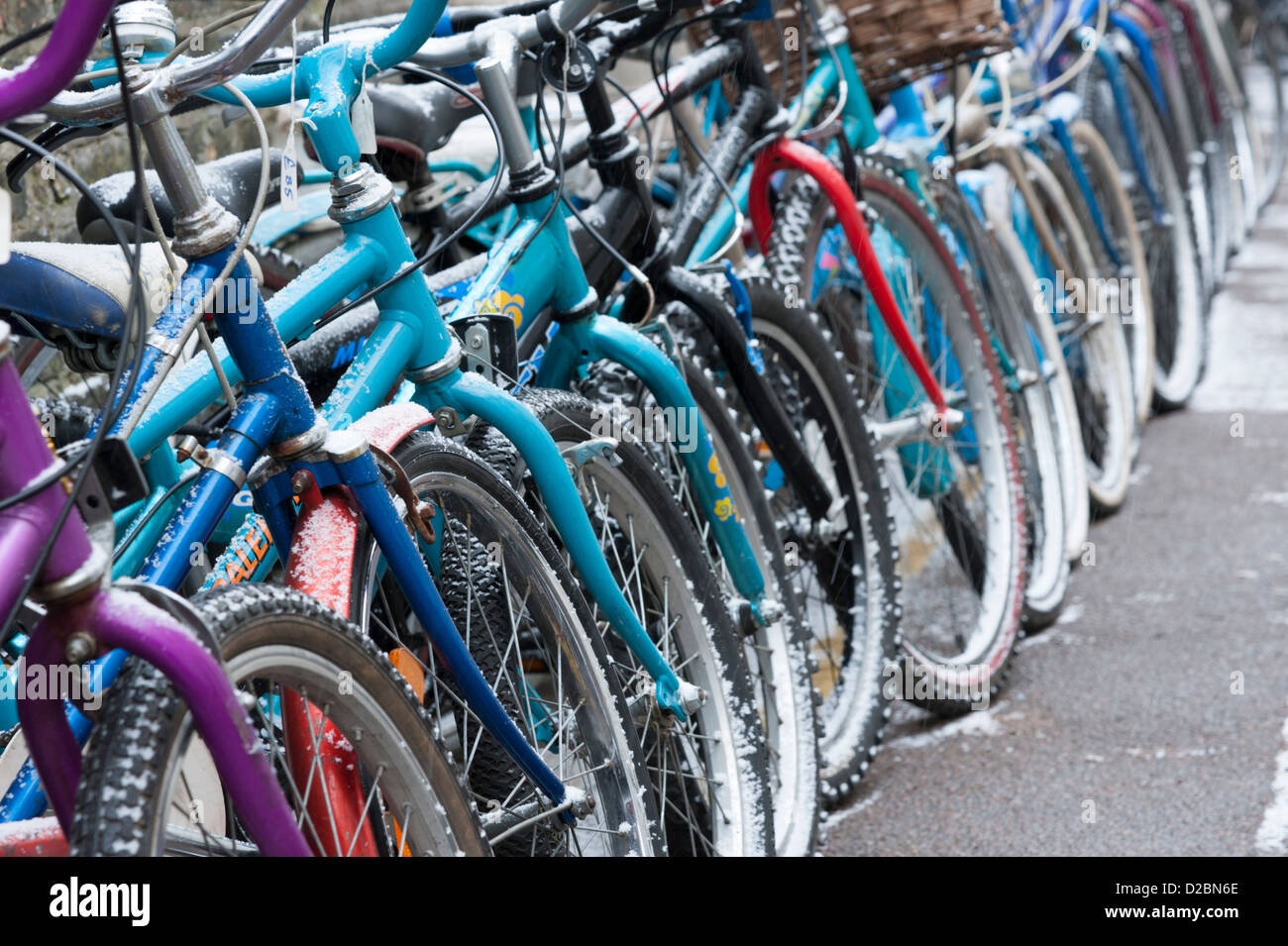 Cambridge push bikes hires stock photography and images Alamy
