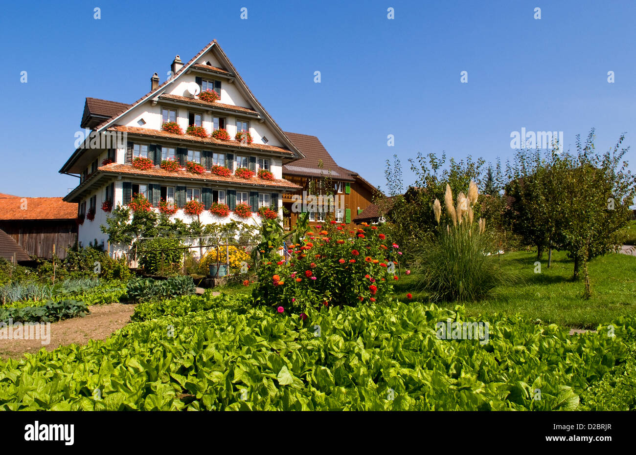 Swiss Chalet With Flowers Near Interlaken, Switzerland Stock Photo Alamy