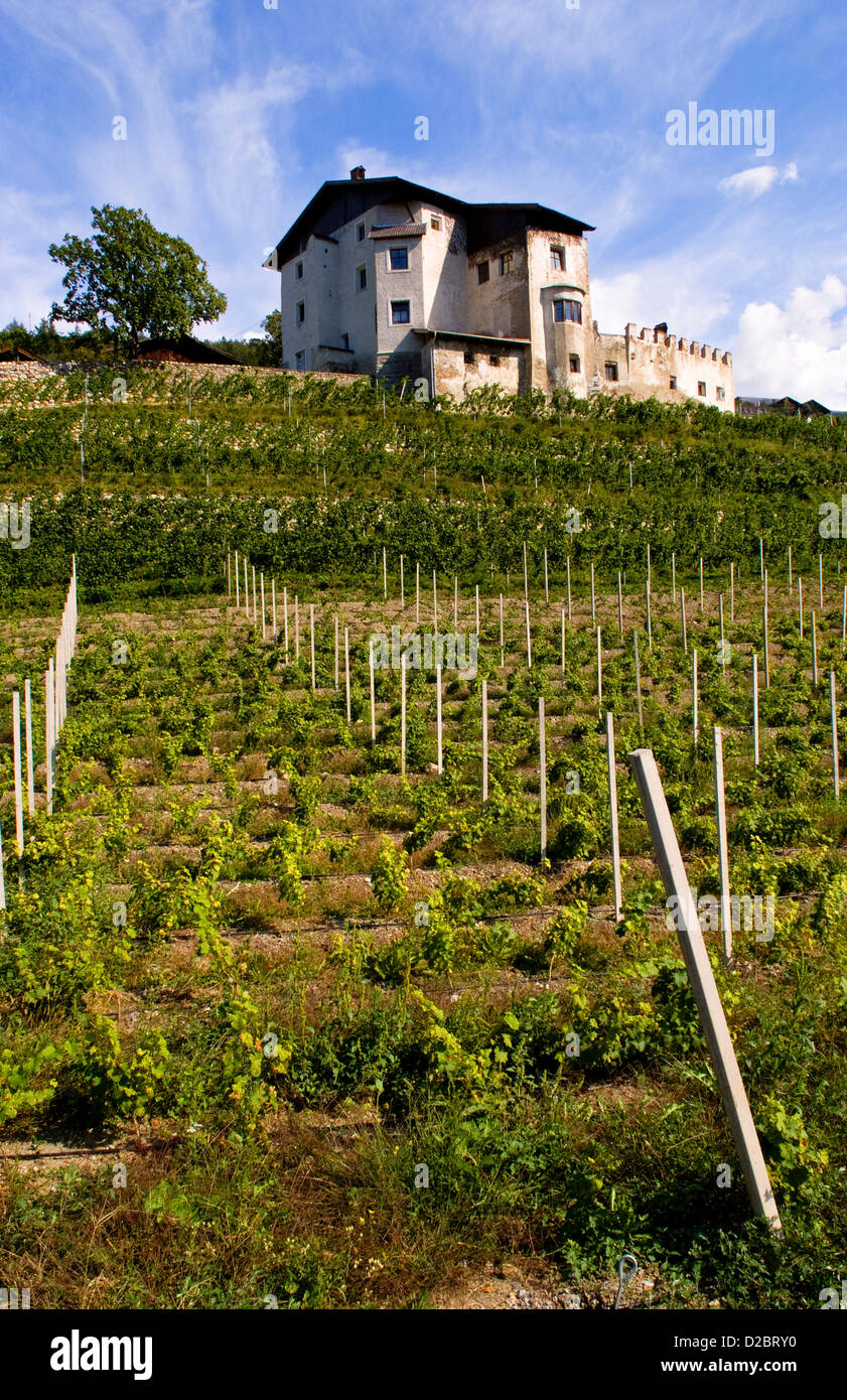 Vineyards And Homes In Small Village Vineyard Near Bressanone Italy In