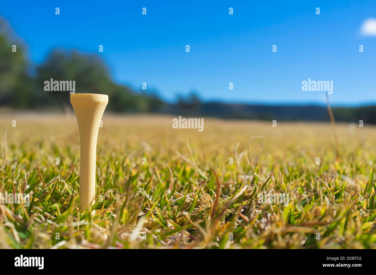 Close up of tee on a golf course, Texas, USA Stock Photo