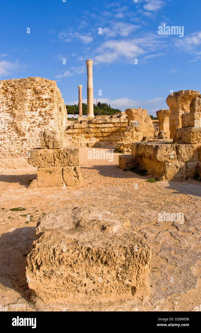 Carthage, Tunisia. Old City With Roman Baths Of Antoninus Pius Stock